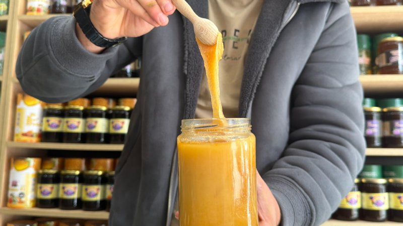 AYI BAYILTAN BALA  İLGİ BÜYÜK! - 1