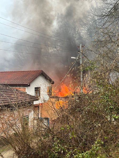 CAYIR CAYIR YANDI - 3