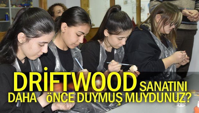 DRİFTWOOD SANATI