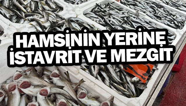 HAMSİNİN YERİNE  İSTAVRİT VE MEZGİT