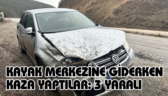 KAYAK MERKEZİNE GİDERKEN KAZA YAPTILAR: 3 YARALI