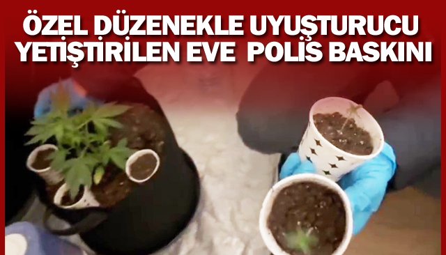 UYUŞTURUCU  YETİŞTİRİLEN EVE  BASKIN