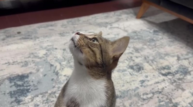 DÖRT YILDIR KUSAN  MUSTAFA VAKUM YUTMUŞ! - 2