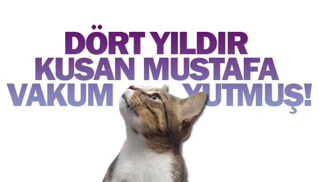 DÖRT YILDIR KUSAN  MUSTAFA VAKUM YUTMUŞ!