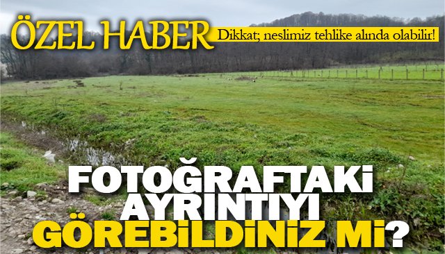 GECİKMEYLE DE OLSA ÇOK ŞÜKÜR EREĞLİ’YE GELDİLER