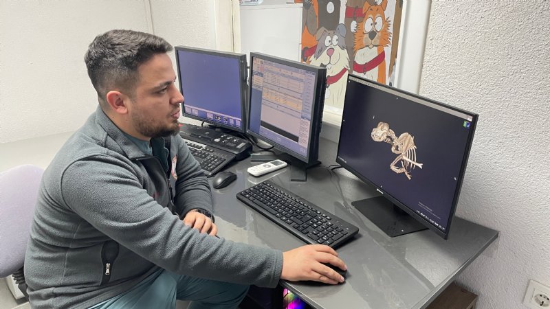 SOKAK KÖPEĞİNE ZORLU OPERASYON - 1