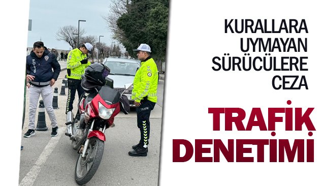 TRAFİK DENETİMİ