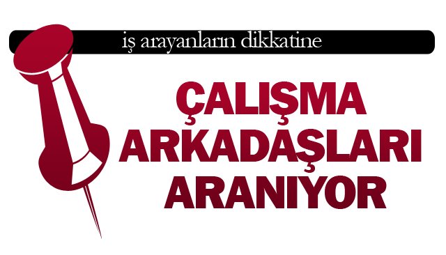ÇALIŞMA ARKADAŞLARI ARANIYOR