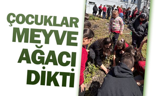 ÇOCUKLAR MEYVE AĞACI DİKTİ