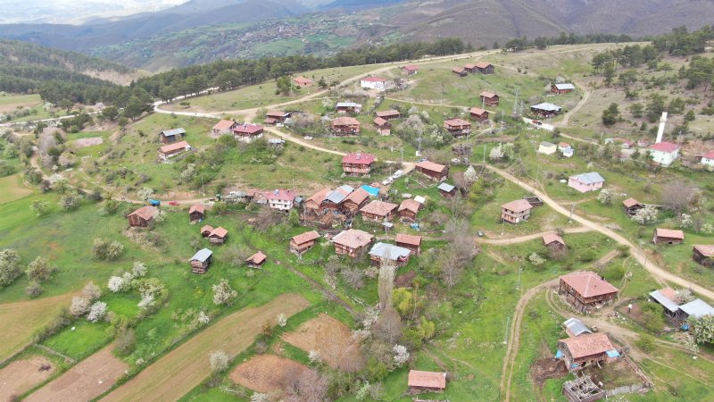 BİR KİŞİ ÖLDÜ,  94 HAYVAN TELEF OLDU - 3