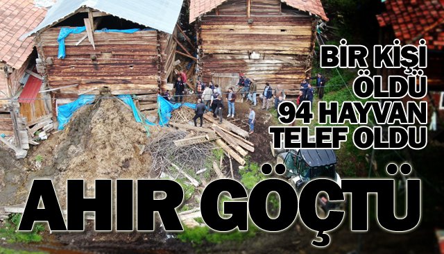 BİR KİŞİ ÖLDÜ,  94 HAYVAN TELEF OLDU