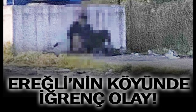 BU HABERE BAŞLIK YAMAZADIK
