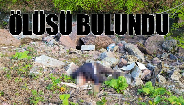 Düzce´de uçurum kenarında erkek cesedi bulundu