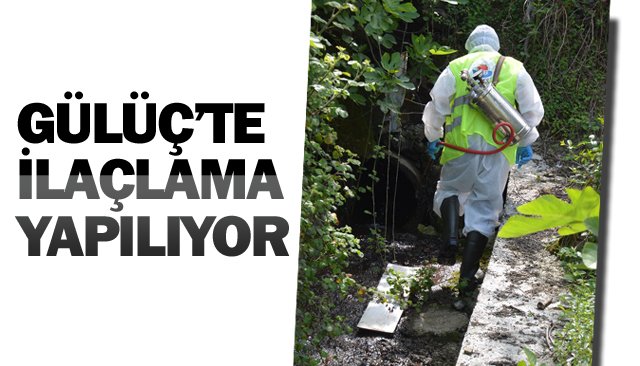 GÜLÜÇ’TE İLAÇLAMA YAPILIYOR