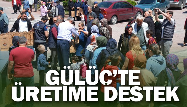 GÜLÜÇ’TE ÜRETİME DESTEK