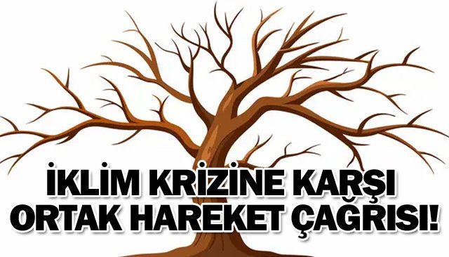 İKLİM KRİZİNE KARŞI  ORTAK HAREKET ÇAĞRISI!