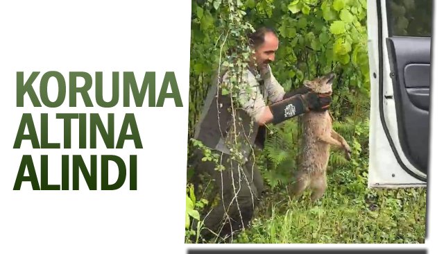 KORUMA  ALTINA ALINDI
