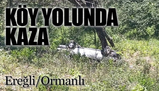 KÖY YOLUNDA KAZA