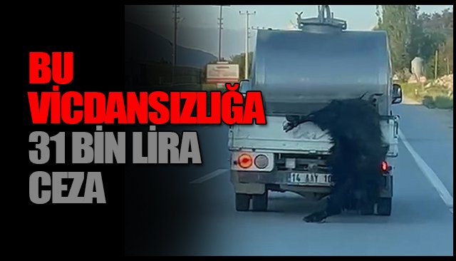 KURBANLIĞI ARAÇTAN SARKITAN  SÜRÜCÜYE CEZA