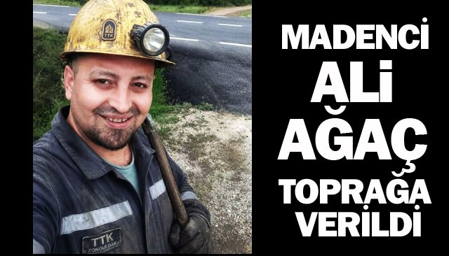 MADENCİ ALİ AĞAÇ  TOPRAĞA VERİLDİ