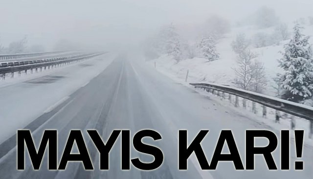 MAYIS KARI!