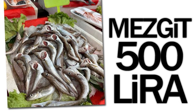 MEZGİT  500 LİRA