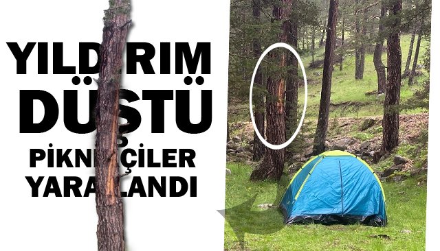YILDIRIM DÜŞTÜ  PİKNİKÇİLER YARALANDI