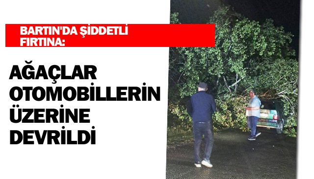 AĞAÇLAR OTOMOBİLLERİN ÜZERİNE DEVRİLDİ