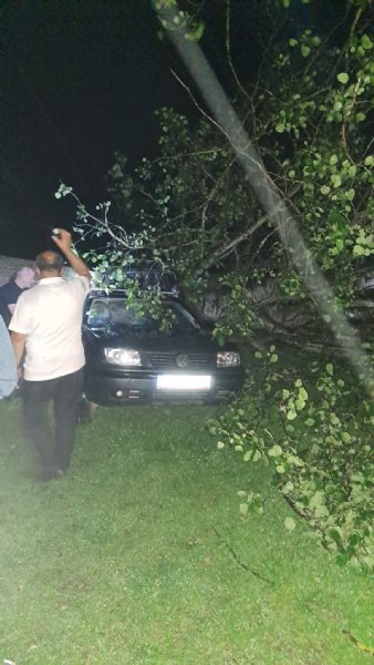 AĞAÇLAR OTOMOBİLLERİN  ÜZERİNE DEVRİLDİ - 2