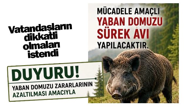 DOMUZ AVI YAPILACAK