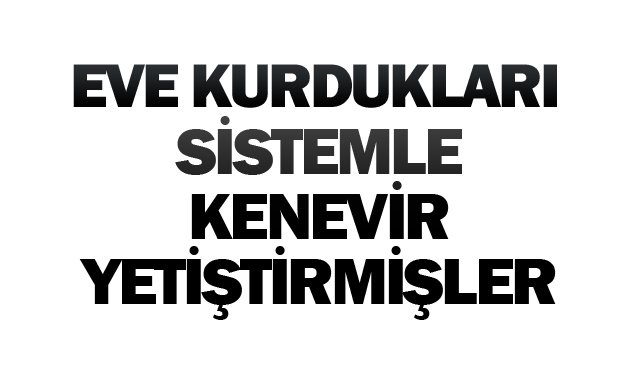 EVE KURDUKLARI SİSTEMLE  KENEVİR YETİŞTİRMİŞLER