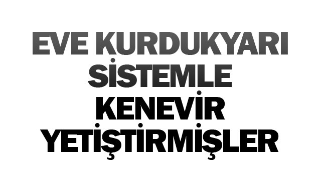 EVE KURDUKYARI SİSTEMLE  KENEVİR YETİŞTİRMİŞLER