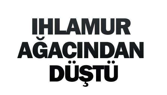 IHLAMUR AĞACINDAN DÜŞTÜ