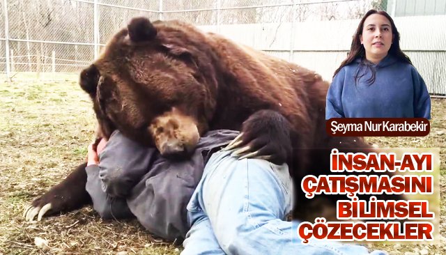 İNSAN-AYI ÇATIŞMASINI  BİLİMSEL ÇÖZECEKLER