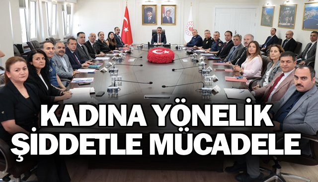 KADINA YÖNELİK  ŞİDDETLE MÜCADELE