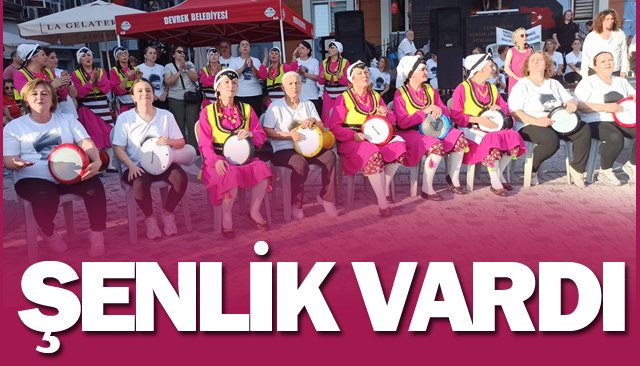 ŞENLİK VARDI