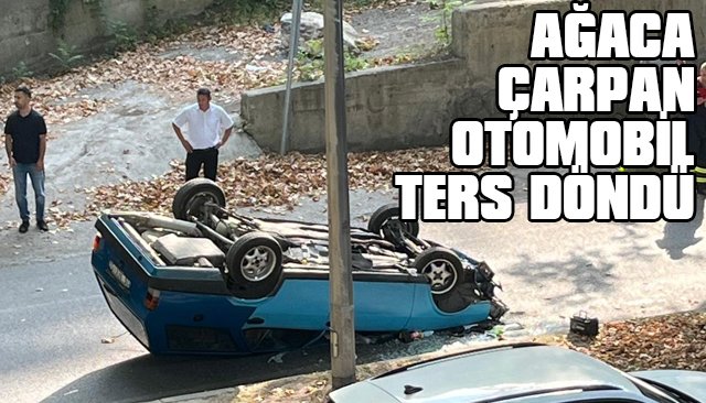 AĞACA ÇARPAN OTOMOBİL TERS DÖNDÜ