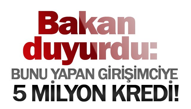 BUNU YAPAN GİRİŞİMCİYE  5 MİLYON KREDİ!