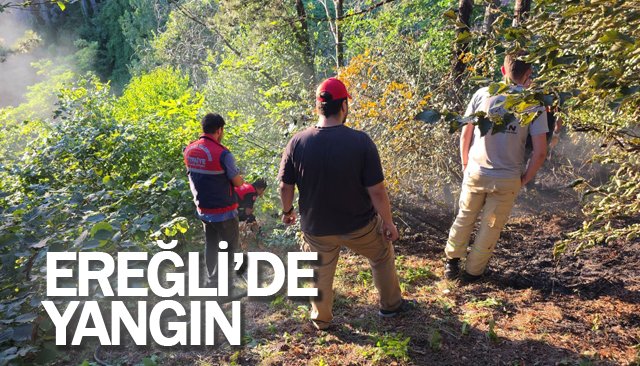 BÜYÜMEDEN SÖNDÜRÜLDÜ