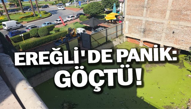 EREĞLİ´DE PANİK:  GÖÇTÜ!