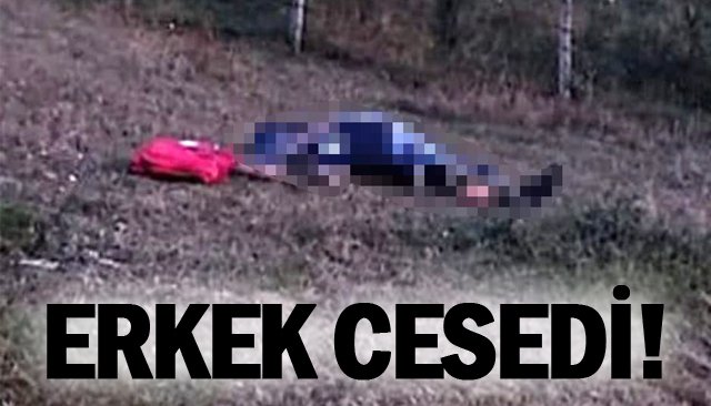 ERKEK CESEDİ!