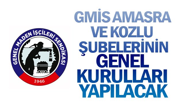 GMİS AMASRA VE KOZLU ŞUBELERİNİN  GENEL KURULLARI YAPILACAK