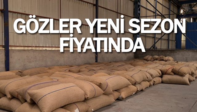 GÖZLER  YENİ SEZON FİYATINDA