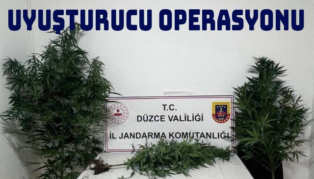 UYUŞTURUCU OPERASYONU