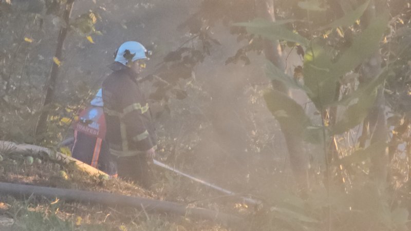 VATANDAŞLAR YANGINA  AYAKLARIYLA MÜDAHALE ETTİ - 3