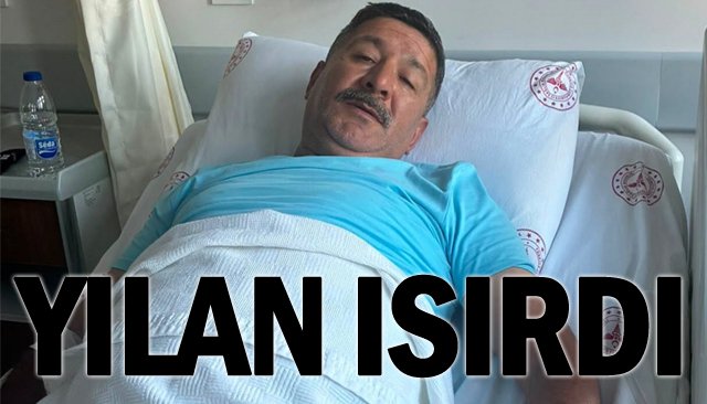YILAN ISIRDI