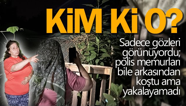AYLARDIR SÜREN GİZEMLİ OLAY!