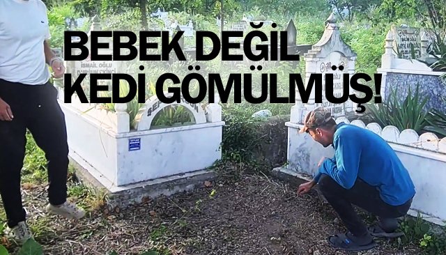 BEBEK DEĞİL  KEDİ GÖMÜLMÜŞ!