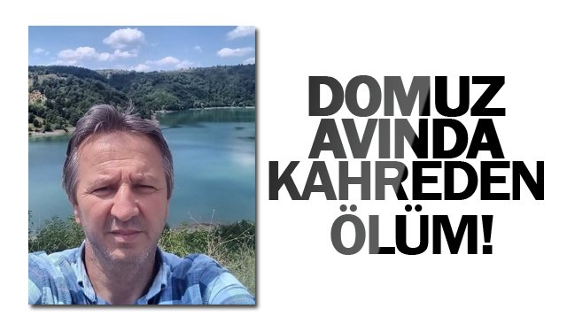 DOMUZ AVINDA  KAHREDEN ÖLÜM!