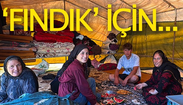 ‘FINDIK’ İÇİN KİLOMETRELERCE YOL GELDİLER